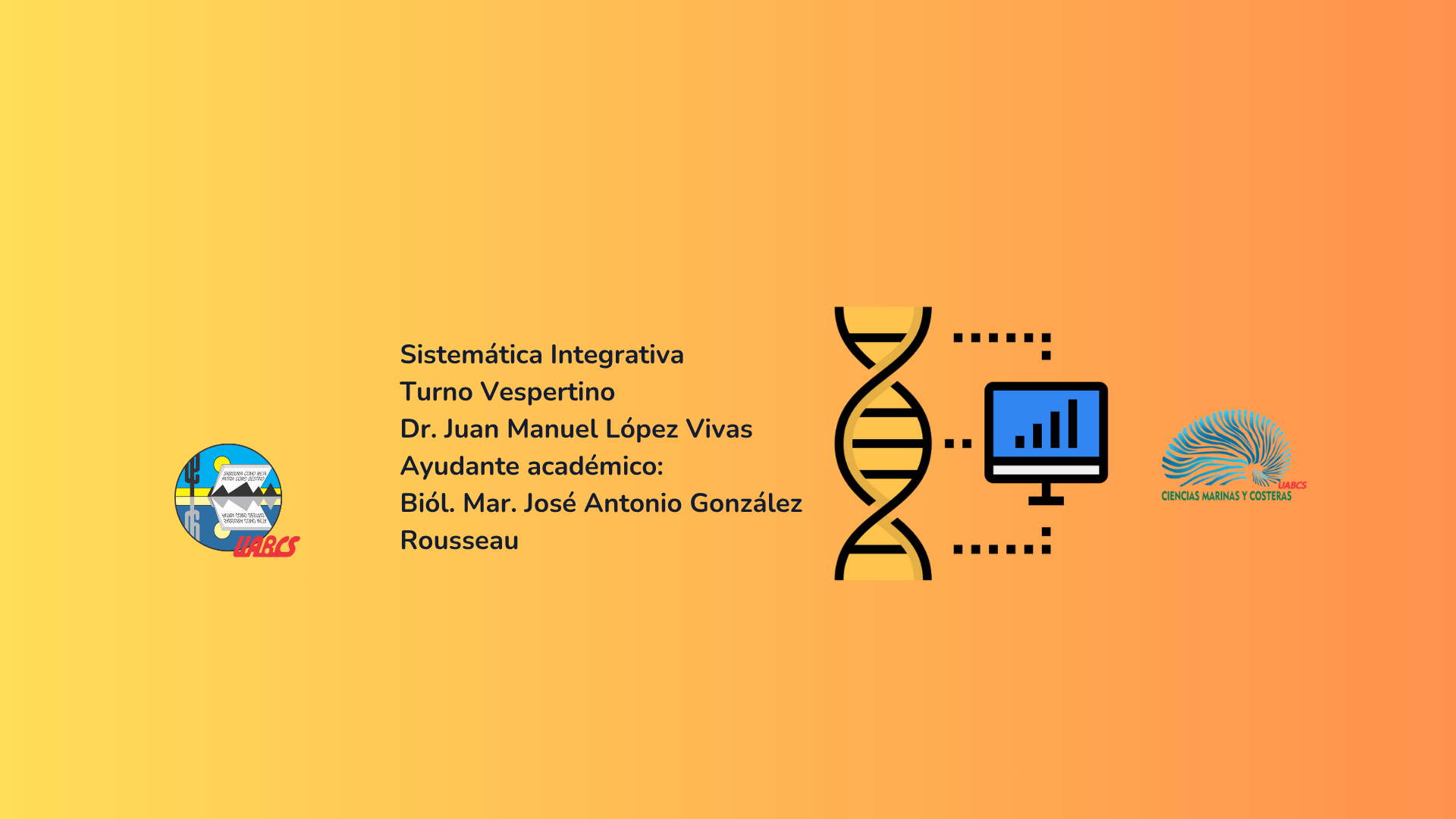 Course Image Sistemática Integrativa VESPERTINO 