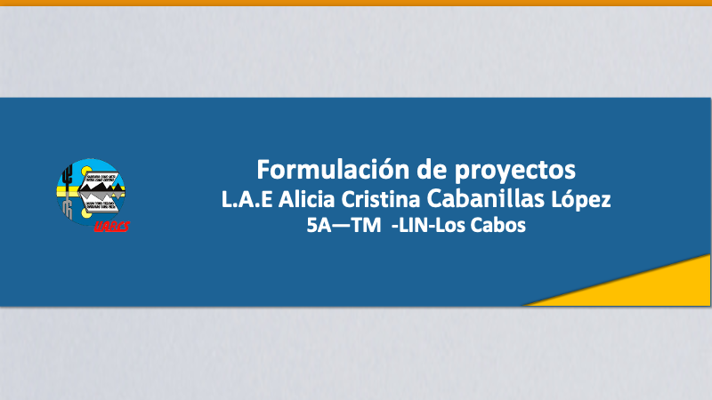 Course Image Formulación  de proyectos 