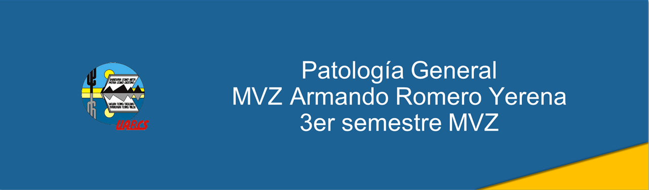Course Image Patología general