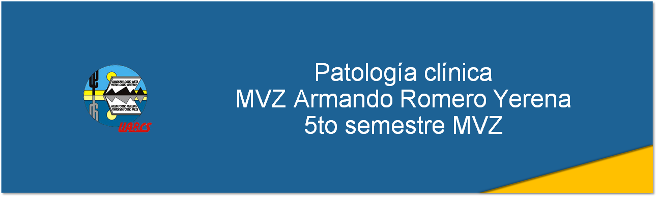 Course Image Patología clínica 