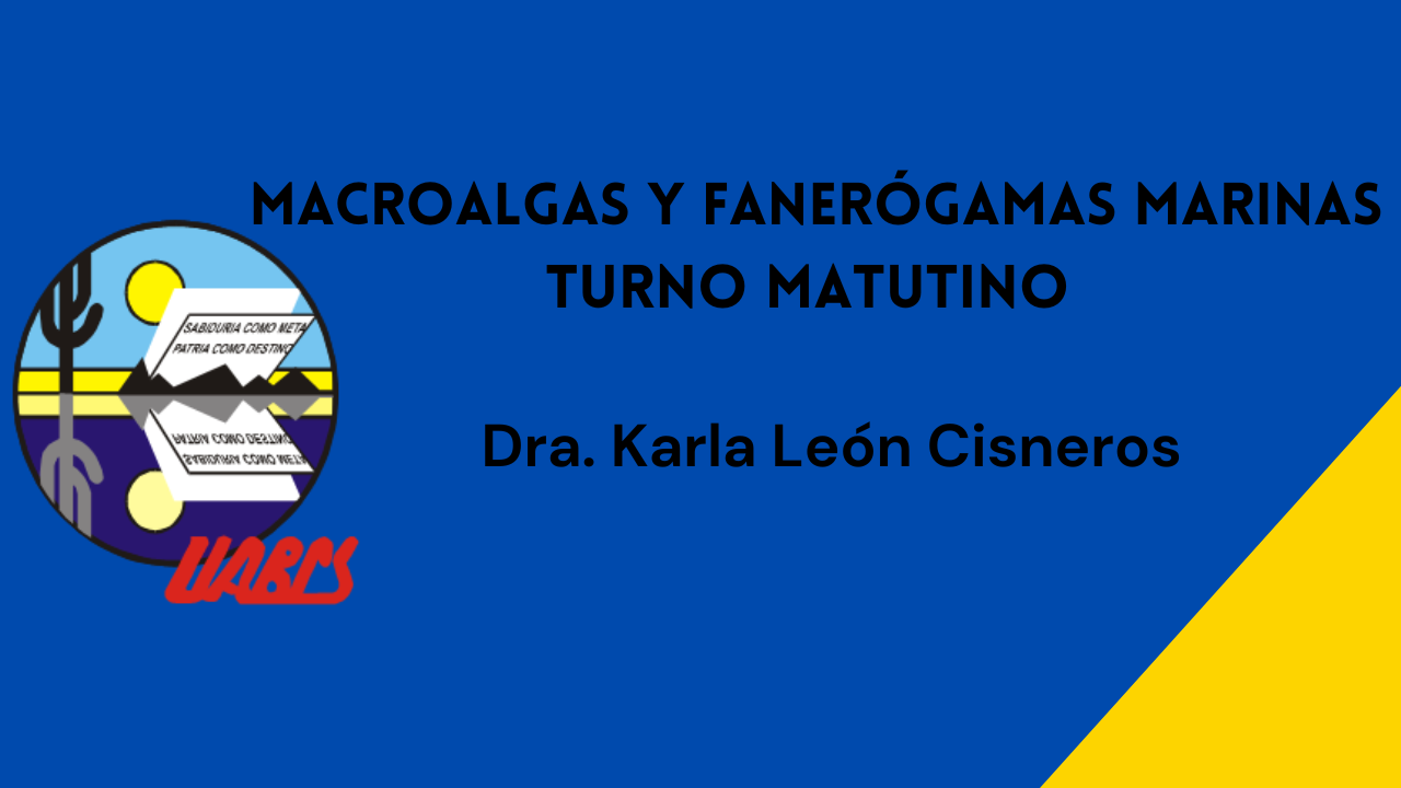 Course Image Macroalgas y Fanerógamas Marinas, Turno matutino