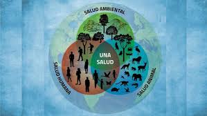 Course Image Introducción a la Medicina de la Conservación