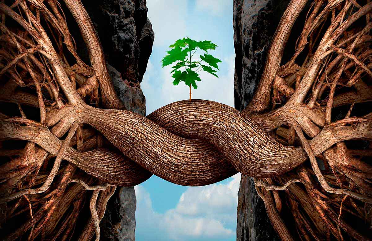Course Image Resiliencia 2025-II