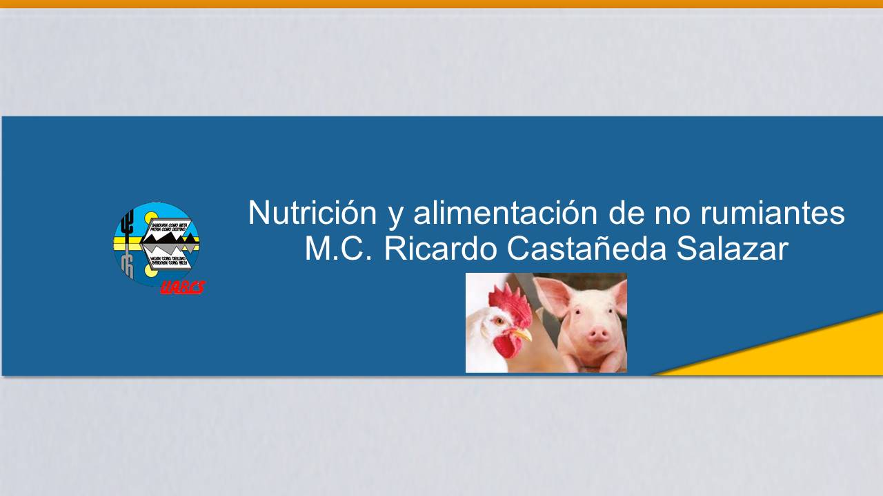 Course Image Nutrición y Alimentación de No Rumiantes Grupo A