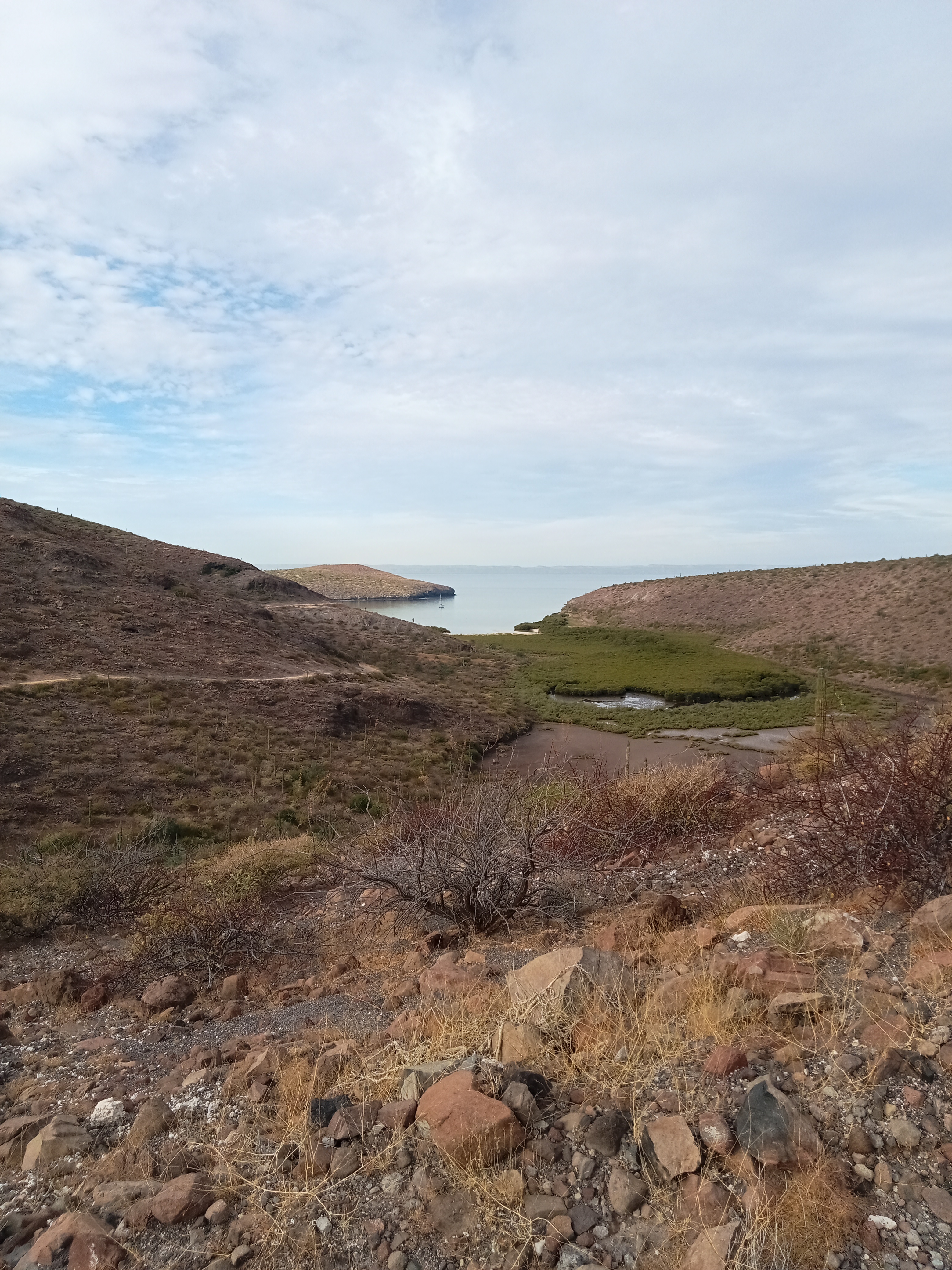 Course Image Proyectos de Gestión e Inversión en Recursos Marinos y Costeros