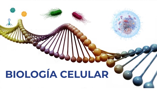 Course Image Biología Celular