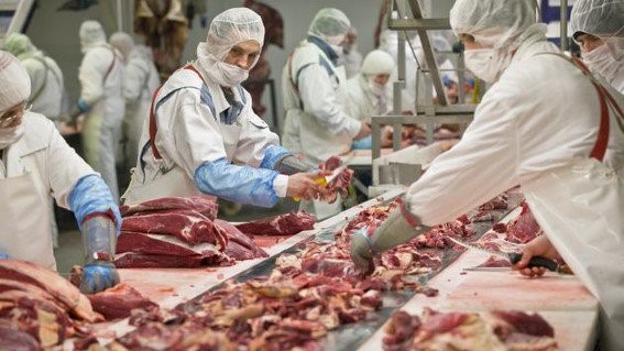 Course Image Tecnologia de la Carne 