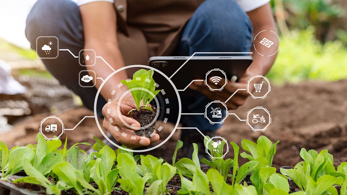 Course Image Administracion de empresas Agricolas