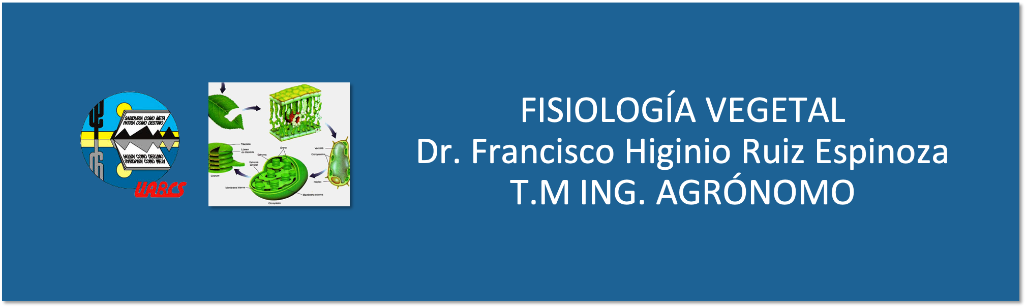Course Image Fisiología Vegetal