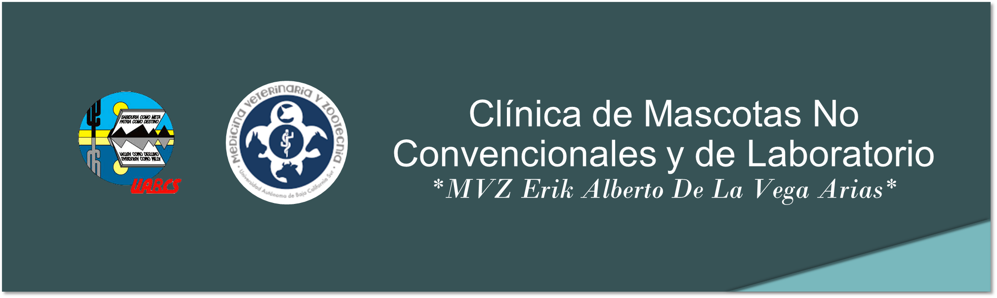 Course Image Clínica de Mascotas No Convencionales y de Laboratorio