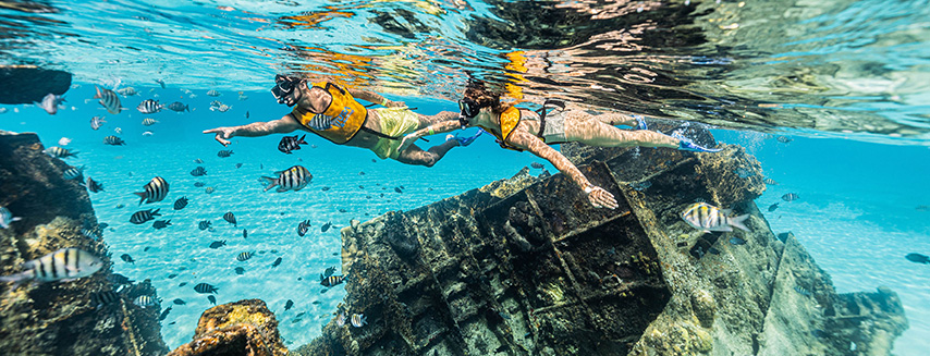 Course Image Notación y Snorkel